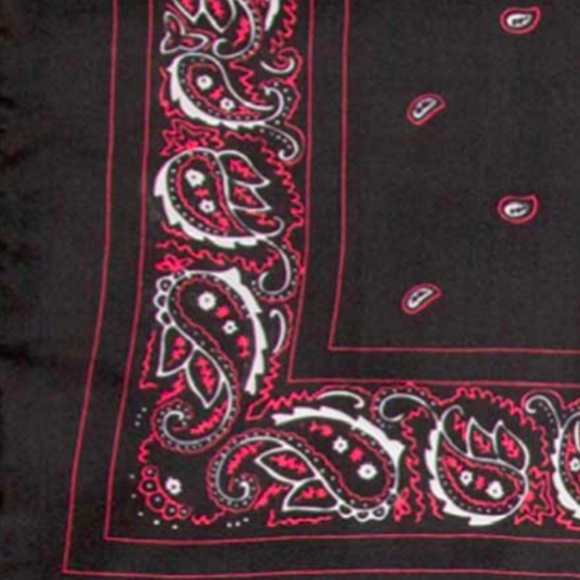 Wyoming Traders Wild Rag 100% Silk Bandana Western Scarf 42" - BLACK - Picture 2 of 2